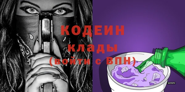 молекула духа Няндома